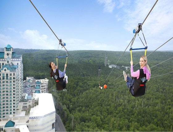HighFlyer Zipline