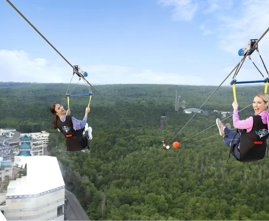 HighFlyer Zipline